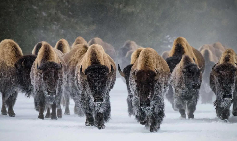 上海泽宇智能科技有限公司轮播图2